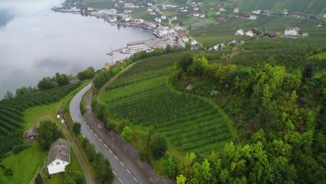 Aerial-Flyover-of-Ullensvang-Village-and-Vineyards-with-Marina-on-the-Fjord-in-Norway