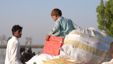 Close-up-shot-of-a-family-leaving-on-a-donkey-drawn-cart,-flooded-area-in-Sindh,-Pakistan-after-heavy-rainfall-and-flooding-at-daytime