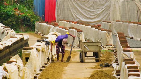 Man-works-in-brick-field-shoveling-dirt-into-wheelbarrow-in-row-of-bricks