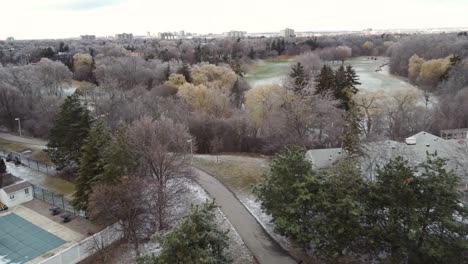 Aerial-view-of-dead-trees-in-winter,-neighborhood-of-brampton-canada