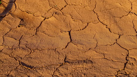 Time-lapse,-wet-clay-ground-dries-out-in-hot-sun-until-soil-cracks