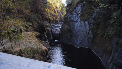 Two-women-are-looking-out-at-a-freshwater-stream-in-the-forest