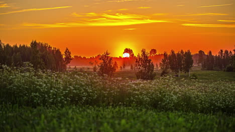 Timelapse-Shot-Of-Golden-Yellow-Rising-Sun-On-Horizon-Seen-From-Lush-Green-Meadow-Field