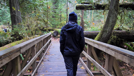 A-man-is-walking-through-a-wooden-pier-walkthrough-in-BC-forests---A-beautiful-walk-through-in-nature