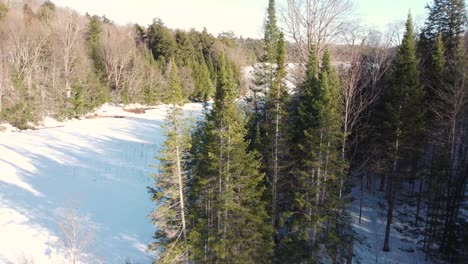 Drone-fly-by-a-winter-nature-of-a-forest-in-the-countryside