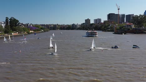 Drohnenschuss,-Der-Durch-Viele-Kleine-Segelboote-Fliegt,-Die-Ein-Segelrennen-Auf-Dem-Brisbane-River-In-Der-Nähe-Von-West-End-Und-Toowong-Abhalten