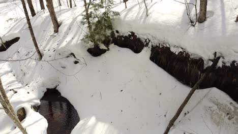 Snow-covered-creek-in-a-forest