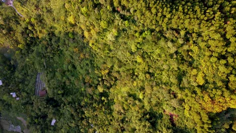 Luftaufnahme-Eines-Dorfes-Am-Fuße-Eines-Von-Tropischem-Regenwald-Bedeckten-Berges-Von-Oben-Nach-Unten