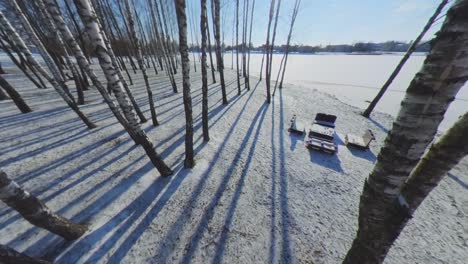 DIY-Homemade-Furniture-Made-of-Wooden-Pallets-among-Birch-Trees-on-a-Sunny-Winter-Day