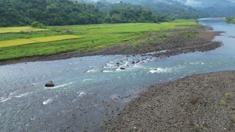 Luftaufnahme-Des-Flusses-Mit-Seichtem-Wasser-Und-Grünen-Feldern-In-Catanduanes,-Philippinen