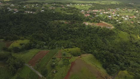 Drohnenansicht-In-Guadeloupe-Mit-Kleinen-Dörfern-Und-Landwirtschaftlichen-Grundstücken