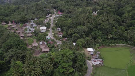 Local-village-at-Sumba-surround-by-green-vegetation-during-day-time,-aerial