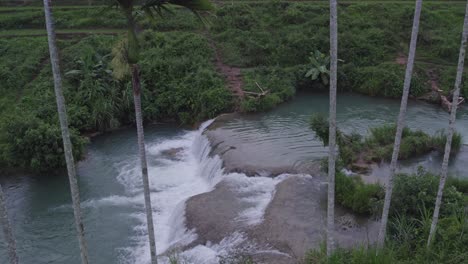 Nahaufnahme-Von-Palmen-An-Den-Waikacura-Wasserfällen-Auf-Der-Insel-Sumba,-Aus-Der-Luft