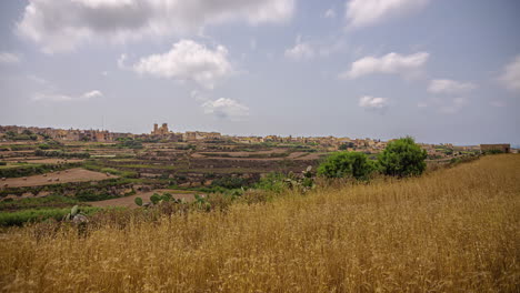 National-Sanctuary-of-the-Virgin-of-Ta-'Pinu-in-the-distance