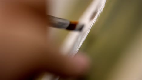 Extreme-shallow-depth-of-field-oil-paint-brush-painting-with-white-paint