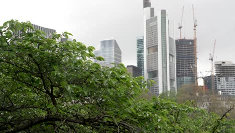 Foreground-Focus-Of-Tree-Branches-Gently-Swaying-In-Wind-With-Frankfurt-Business-Skyline-In-Background