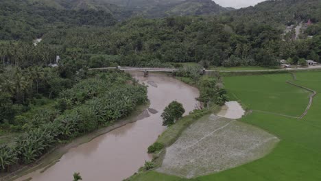 Drone-view-of-rice-fields-next-to-a-river-with-a-small-bridge-at-Indonesia,-aerial