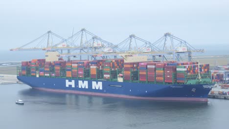 Blick-Auf-Das-Frachtcontainerschiff-HMM-St.-Petersburg-Im-Terminalhafen-Mit-Kränen