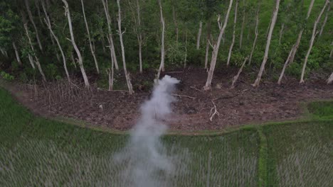 Weißer-Rauch-In-Den-Reisfeldern-Auf-Der-Insel-Sumba-In-Indonesien,-Luftaufnahme