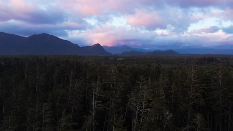 Drone-over-ancient-temperate-rainforest-treetops,-vivid-blue-hour-clouds,-Tofino
