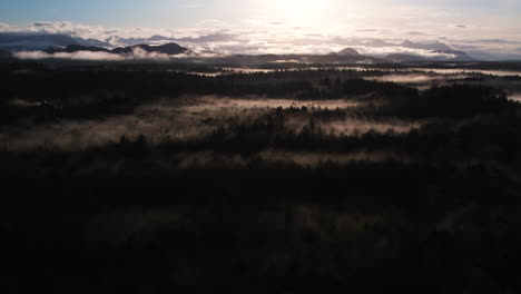 Sunrise-over-misty-temperate-rainforest,-cinematic-nature-scene-in-Tofino