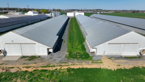 Huge-cattle-barns-with-exhaust-fans-in-farmland,aerial-view
