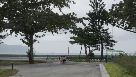 waterfront-Park-in-Con-Dao-Island-in-Vietnam,-with-a-road-in-the-background-as-a-bus-passes-by