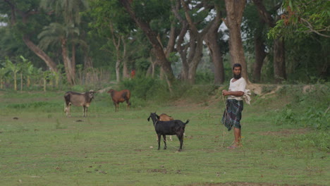 Hombre-De-Pueblo-Con-Cabra-Comiendo-Hierba-En-Un-Campo-De-Hierba-vista-Rural-De-Bangladesh