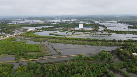 Drone-Footage-overlooking-fish-ponds-or-wetlands-and-greeneries-in-the-Philippines-on-a-cloudy-morning