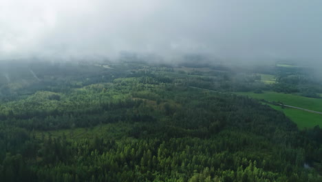 The-sublime-landscape,-skillfully-depicted-by-a-drone-soaring-high-above-the-captivating-and-alluring-forest,-is-further-enhanced-by-the-ethereal-presence-of-the-pristine-white-clouds