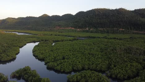 Aerial,-evergreen-hills-wrapped-in-vegetation,-winding-Maasin-River-Bends-flowing-through-Mangrove-forest-Swamps-and-coconut-trees,-Siargao---Philippines