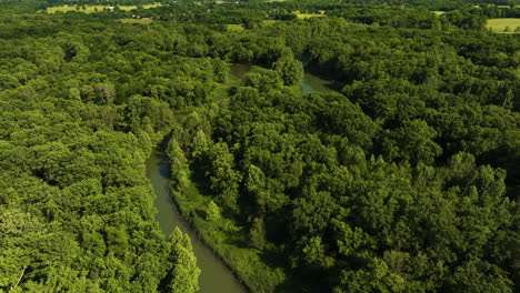 Aerial-View-Over-River-Surrounded-By-Green-Lush-Forest---drone-shot