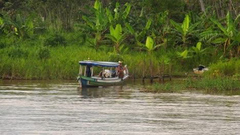 Amazonas-Dschungel,-Indigenes-Leben-Isoliert-Von-Der-Zivilisation