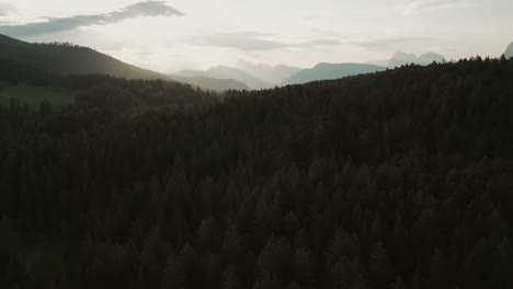 Morgendrohnenaufnahme-Des-Dolomitenwaldes