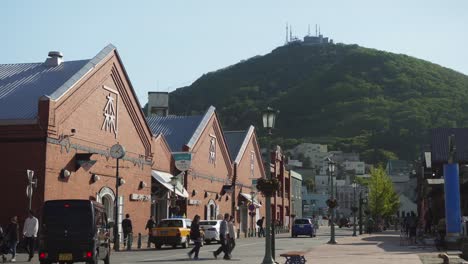 Iconic-Kanemori-Red-Brick-Warehouses-With-Mount-Hakodate-In-background-On-Sunny-Day