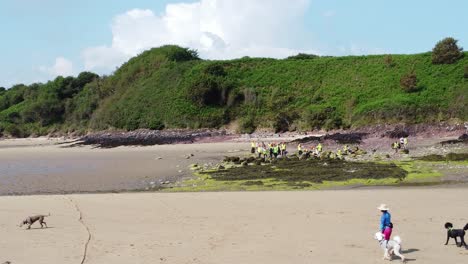Traeth-Lligwy-Anglesey-Sandstrand-Hundeführer-Und-Gruppe-Von-Meeresbiologen-Erkunden-Algenbeete