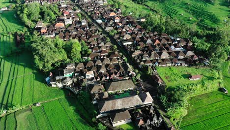 Aerial-drone-camera-flying-over-Ubud-Bali-This-village-is-located-amidst-terraced-rice-fields-and-well-planned-houses-with-brown-roofs,-surrounded-by-jungle-and-coconut-trees