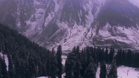 Cinematic-shot-of-glacier-ice-and-forest-view-of-Himalayas,-Camera-follow-ice-glacier-of-mountain-hills,-Uttarakhand,-India