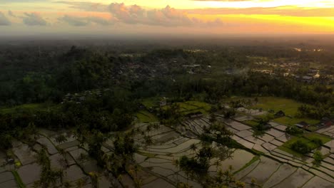 Mit-Wasser-Gefüllte-Reisfelder-Und-Rotierende-Kokospalmen-Und-Mitten-Im-Wald-Eine-Luftdrohnenkamera,-Die-Ihn-Mit-Sonnenuntergang-Im-Hintergrund-Und-Vielen-Wolken-Und-Nebel-Einfängt