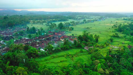 Reisfelder-In-Form-Von-Stufen-Haben-Einen-Rotierenden-Kern-Und-Viele-Kuppelförmige-Häuser,-Die-Noch-Den-Nebel-Zeigen-Und-Sich-Auf-Den-Sonnenuntergang-In-Ubud,-Bali,-Indonesien,-Vorbereiten