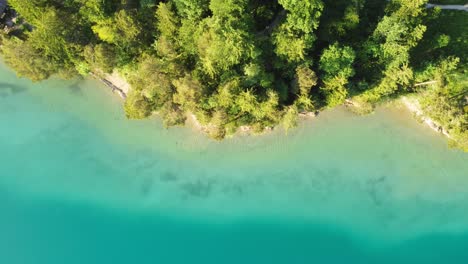 Top-down-aerial-background-of-emerald-green-Austrian-mountain-lake-landscape