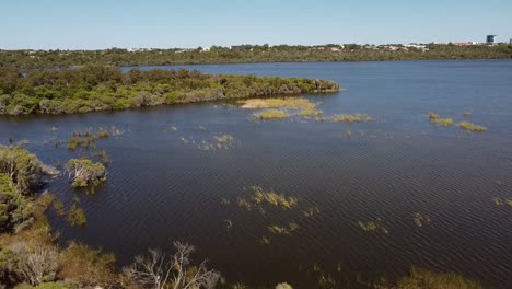 Aerial-footage-over-Lake-Joondalup-with-trees-and-green-foliage-below