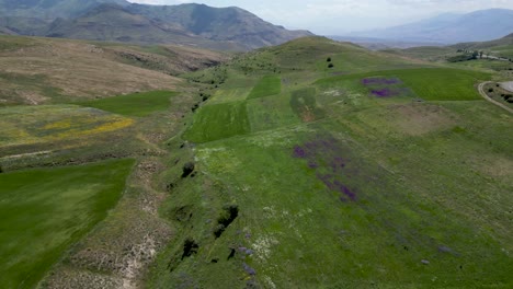 4k-High-definition-drone-video-of-the-beautiful-open-green-fields-during-summer-time--Armenia