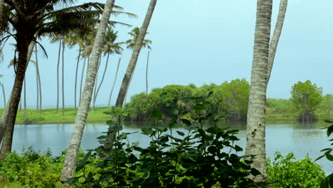 Tropische-Strände-In-Indien-Kerala-Mit-Kokospalmen-Und-Seen