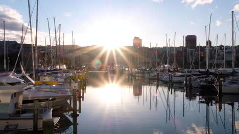 Wunderschönes-Sonnenlicht,-Das-Sich-über-Dem-Bootshafen-Und-Dem-Ruhigen-Meerwasser-In-Der-Hauptstadt-Wellington-In-Neuseeland,-Aotearoa,-Spiegelt