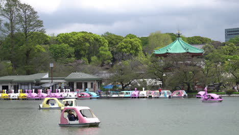 TOKYO,-JAPAN---APRIL-8,-2023:-People-riding-swan-paddle-boats-in-Shinobazu-Pond-in-Ueno-park-with-cherry-blossom-sakura
