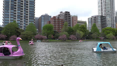 Tokio,-Japan-–-8.-April-2023:-Menschen-Reiten-Auf-Schwanenpaddelbooten-Im-Shinobazu-Teich-Im-Ueno-Park-Mit-Kirschblüten-Sakura