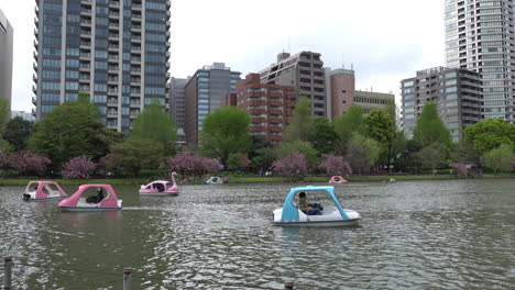TOKYO,-JAPAN---APRIL-8,-2023:-People-riding-swan-paddle-boats-in-Shinobazu-Pond-in-Ueno-park-with-cherry-blossom-sakura