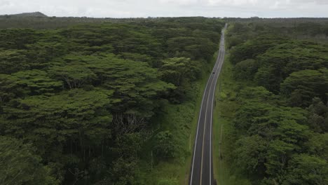 Low-aerial-flies-over-highway-in-dense-lush-green-tropical-forest
