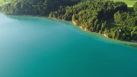 Clear-turquoise-lake-water-in-Austria,-forest-trees-by-shore,-aerial-view